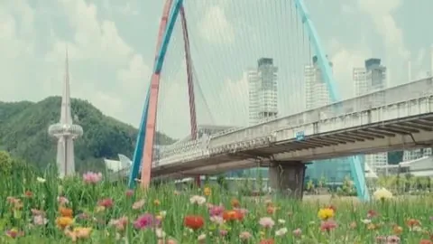桑托拉斯古纳主场对决前瞻：不容错过的精彩瞬间